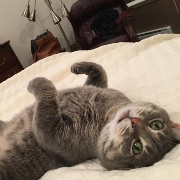 Meet your Posher, Kaitlyn - Picture 1 of 1